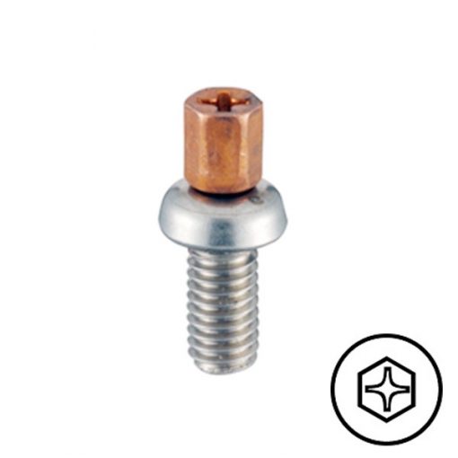 Non-Recess TRF Screw Stainless A2 M6x25